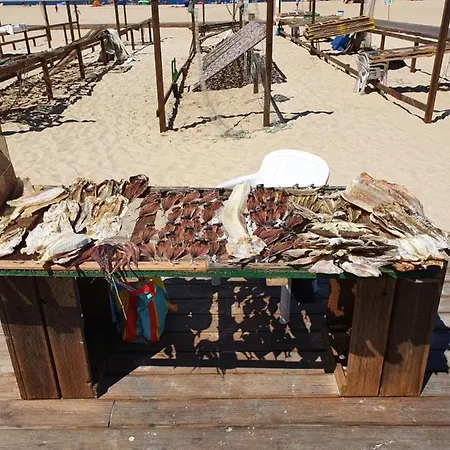 Casa de Férias A Casa Dos Avós